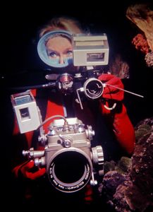 Valerie Taylor underwater with camera equipment, 1970.  (photo credit: Ron & Valerie Taylor)