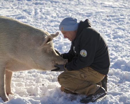 Todd Friedman knelt in snow holding a pig's face. (Big Wave Productions)