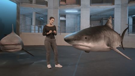 Dr. Diva Amon stood next to a GFX Tiger Shark and Bull Shark whilst being stood in the shark studio lab. (National Geographic)