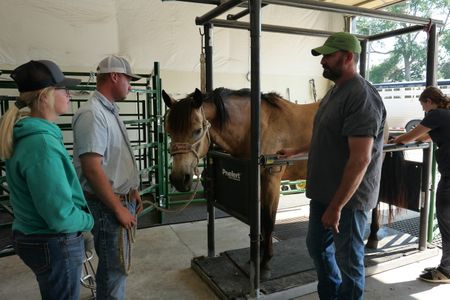 Kaycee and Jace talk with Dr. Ben Schroeder, while vet tech Laurel Driver picks tick from Cash the horse. (National Geographic)