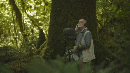 Acoustic ecologist, Gordon Hempton, records natural sounds in the Hoh Rainforest. (credit: National Geographic/Andrew Studer)