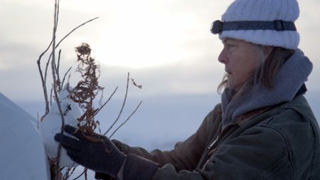 Sue Aiken uses a decoy ptarmigan while hunting in her bird blind. (BBC Studios/Michael Cheeseman)