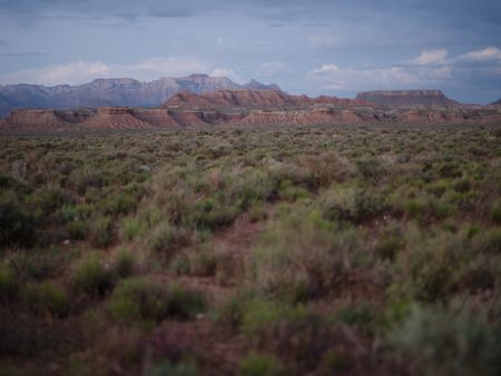 Zion's desert going into night.(National Geographic/Rick Smith)