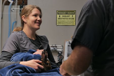 Vet tech Laurel Driver cuddles with Hunny the bunny as Dr. Ben Schroeder gets ready to remove the growth near her eye. (National Geographic)