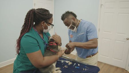 Vet tech Arianna holds Ande, the dog, while Dr. Hodges prepares an IV. (National Geographic for Disney)