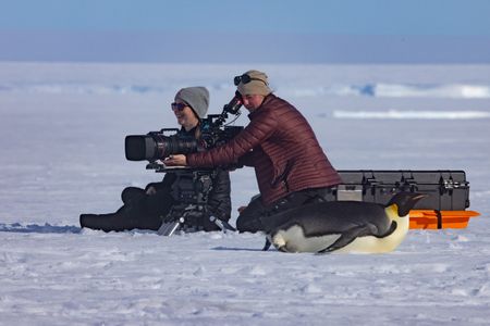 Heather Cruickshank and Sara Matasick film on the sea ice with an adult Emperor penguin in the foreground. (credit: National Geographic/Bertie Gregory)