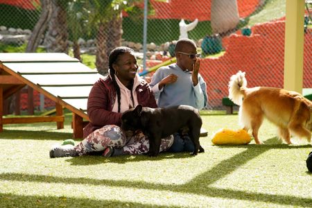 Ramona and Roman with potential dogs for their matchmaking case. (National Geographic)