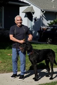 Cesar Millan standing with Lloyd. (National Geographic)