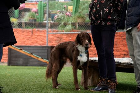 Murphy stands next to Melissa. (National Geographic)