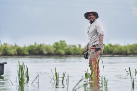 Anthony Mackie wading in the Bayous near Violet, Louisiana, whilst helping the Coalition to Restore Coastal Louisiana (CRCL). The bayous are fed by the Mississippi River. (National Geographic/Brian Roedel)
