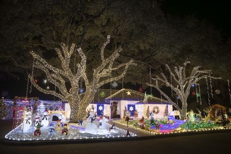 THE GREAT CHRISTMAS LIGHT FIGHT 