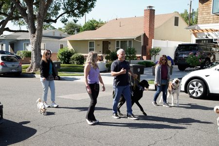 Cesar Millan walking with Lloyd and Jaclyn down the street with other dogs and animals handlers. (National Geographic)