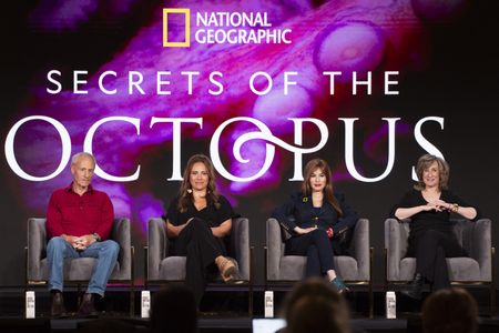 2024 TCA WINTER PRESS TOUR  - Adam Geiger, Dr. Alex Schnell, Maria Wilhelm, Sy Montgomery from the “Secrets of the Octopus” panel at the National Geographic presentation during the 2024 TCA Winter Press Tour at the Langham Huntington on February 8, 2024 in Pasadena, California. (National Geographic/PictureGroup)