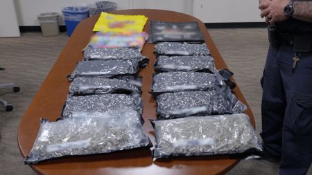 Multiple vacuum-sealed packages of marijuana are pictured on a table after they were discovered by CBP officers in a shipped package in Dulles, Va. (National Geographic)