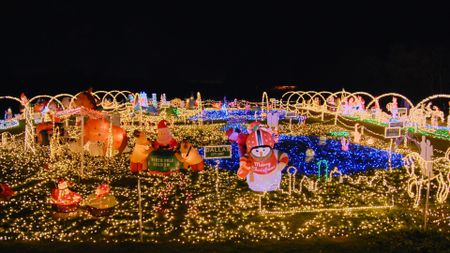 THE GREAT CHRISTMAS LIGHT FIGHT