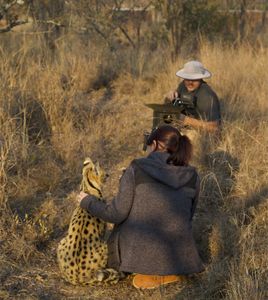 Clare being filmed outside with her serval. (Big Wave Productions)