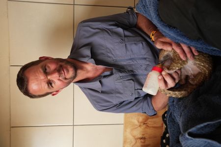 Giles Clark feeds Archie the baby pangolin as part of his rehabilitation. (National Geographic/Cherique Pohl)