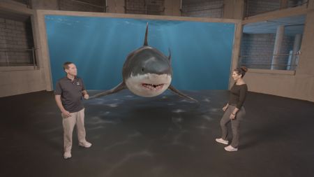 Dr. Stephen Kajiura, expert, and Dr. Diva Amon, expert, speaking to one another in the Shark 360 studio lab, whilst a GFX Great White shark swims between them. (National Geographic)