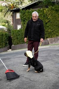 Cesar does an exercise with Betty with objects of sensitivity. (National Geographic)