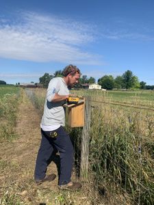 Ben Reinhold attaches a bird feeder to the animal pasture's fence at the Pol family farm. (National Geographic)