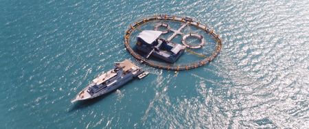 Vaquita CPR rescue base in the coastal waters of San Felipe.  (photo credit: National Geographic)