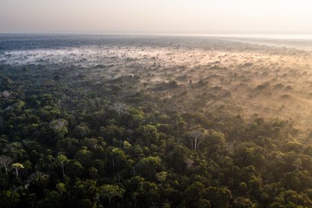 Mist hovers over the Brazilian Amazon forest.  (credit: National Geographic/André Dib)