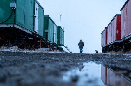 Sue Aikens checks Kavik River Camp with a fox companion. (BBC Studios Reality Productions/Jayce Kolinski)