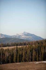 Scenic view of Yellowstone National Park. (National Geographic/Thomas Winston)