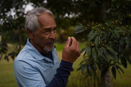 Taumafai Fuhiniu explains traditional Niuean farming techniques while working his family garden and using sustainable practices. (National Geographic/James Peterson)