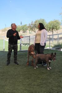 Cesar talks to Monica while dogs wander around them at the DPC. (National Geographic)