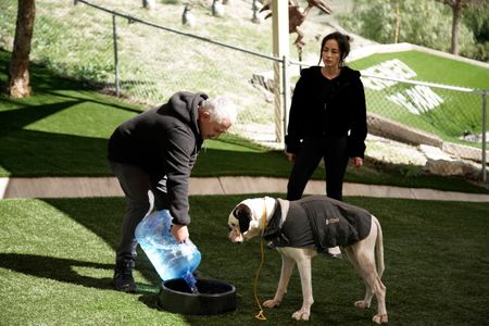 Cesar pours water into a bowl for Brunello as Adriana looks on. (National Geographic)