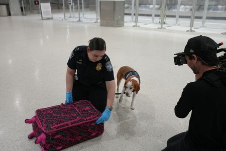 While a cameraman films on, Agriculture Specialist Ortiz is inspecting a passenger's luggage after her K-9, Snoopee, alerted to it in Miami, Fla. (National Geographic)