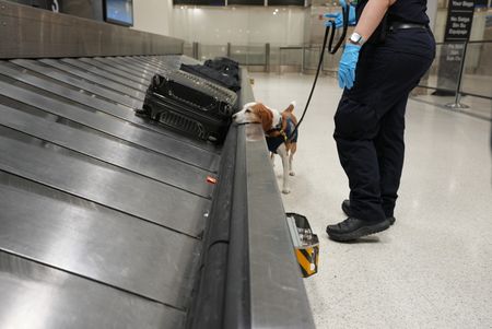 Agriculture Specialist Ortiz walks her K-9, Snoopee, along the baggage claim belt in order to detect prohibited items in Miami, Fla. (National Geographic)