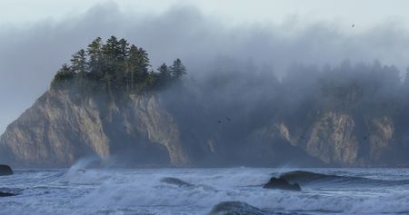 Fog envelopes an offshore rock on the Pacific Coast. (credit: National Geographic/Jesse Wippert)