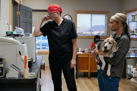 Dr. Erin Schroeder reviews pre-op blood results, as vet tech Val Sovereign holds Lilly the beagle. (National Geographic)