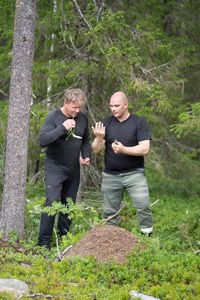 Finland - L to R: Gordon Ramsay and Chef, Kim Mikkola, gather ants in a swamp in Finland. (Credit: National Geographic/Justin Mandel)