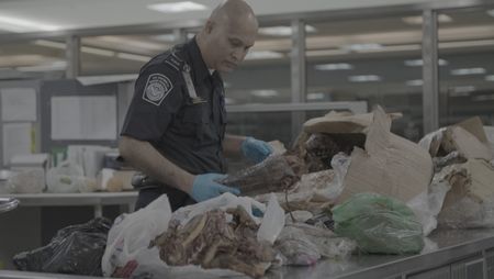 CBP Officers Islam and Hundal use knives to inspect a passenger's boxes, searching for customs violations at the Dulles International Airport in Dulles, Va. (National Geographic)