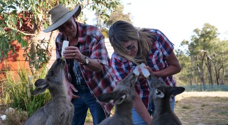 Theresa and Scruff bottle feeding kangaroo joeys. (Big Wave Productions)