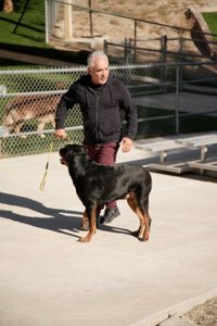 Cesar walks with Beast on a leash. (National Geographic)