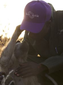 A baboon holds Dingani Nkomo's purple baseball hat. (Big Wave Productions)