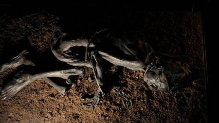 Tollund Man remains. (2023 BOG PEOPLE SEASON ONE INC.)