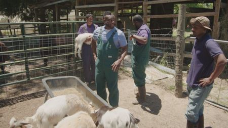 Dr. Hodges and the team help farmer LeMario Brown with his goat herd. (National Geographic for Disney)