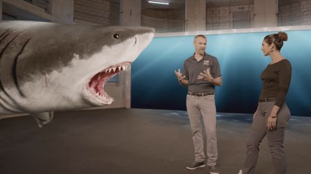 Dr. Mike Heithaus speaking with Dr. Diva Amon while analyzing a GFX Tiger shark's teeth in the shark studio lab. (National Geographic)