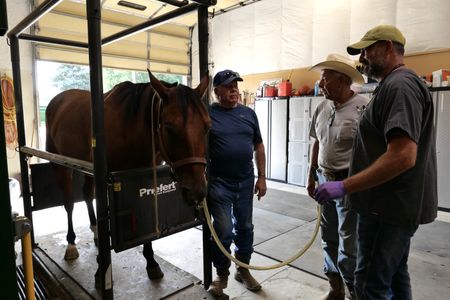 Owners Kevin Kamrath and Don Taylor speak with Dr. Ben Schroeder as he holds the end of the nasogastric tube that is being used to treat Sky, a horse being treated for colic. (National Geographic)