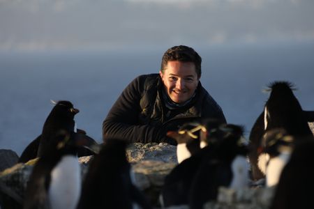 Dr. Pablo Borboroglu among Rockhopper penguins. (credit: National Geographic/Anthony Pyper)