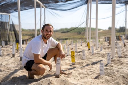 Researcher and turtle bioacoustics expert Dr. Gabriel Jorgewich-Cohen uses highly sensitive microphones to listen to turtle embryos vocalizing inside their eggs to synchronize hatching. Turtle nests are carefully reared at the sanctuary to maximize their chances of survival. (National Geographic/Emilie Ehrhardt)