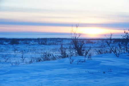 The winter tundra surrounding Sue Aiken's camp. (BBC Studios Reality Productions, LLC/Jayce Kolinski)