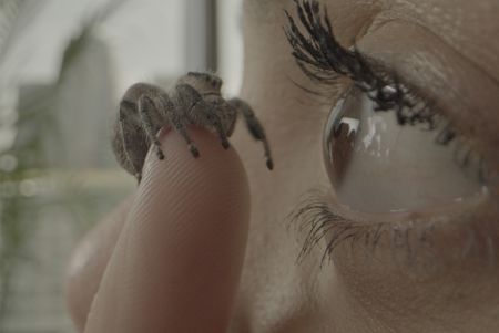 Rose the spider looking into Tina Gayton's eye. (Big Wave Productions)