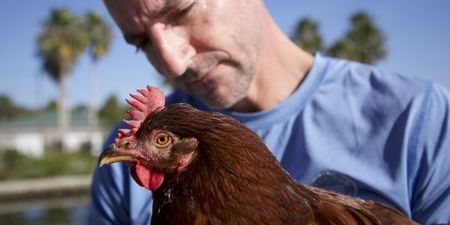 Dave Cox holding Sammin the chicken. (Big Wave Productions)