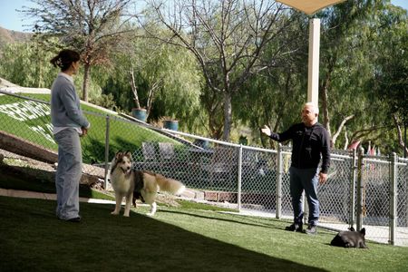 Isabella and Cesar talk in the Serengeti Dog Park at the Dog Psychology Center. (National Geographic)